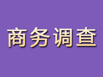 红寺堡商务调查