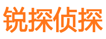 红寺堡市私家侦探